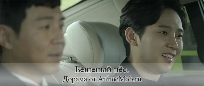 Бешеный пёс