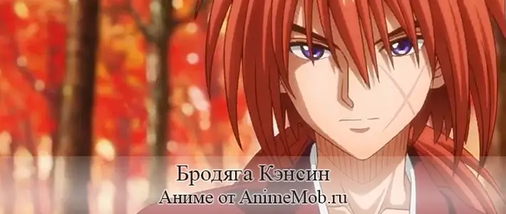 Бродяга Кэнсин