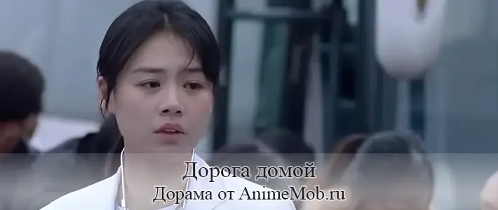 Дорога домой