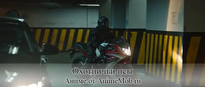 Охотничьи псы