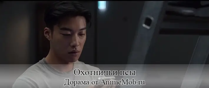 Охотничьи псы