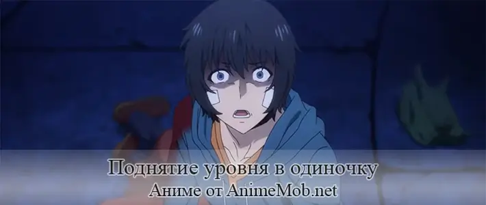 Поднятие уровня в одиночку