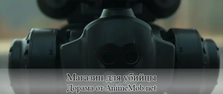 Магазин для киллеров