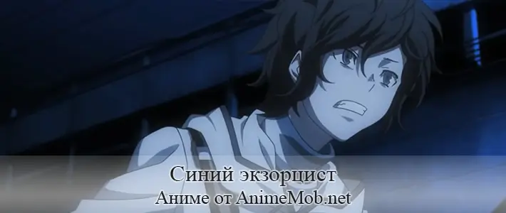 Синий экзорцист [ТВ-2]