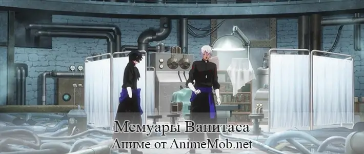 Мемуары Ванитаса