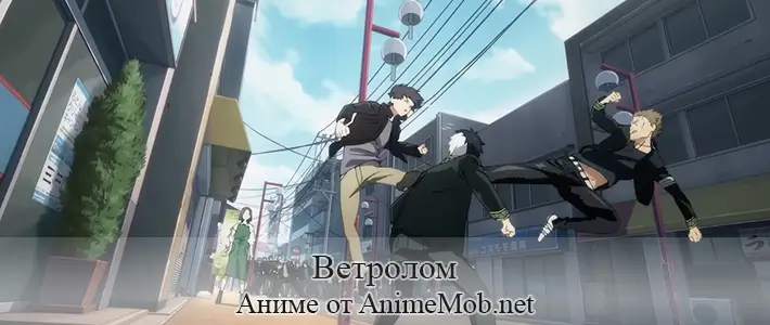 Ветролом